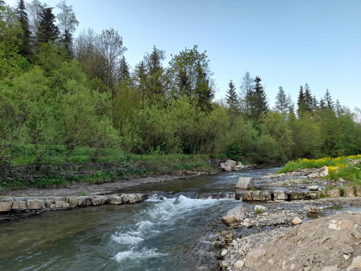 Nad Potokiem Bed & Breakfast Zakopane Ngoại thất bức ảnh